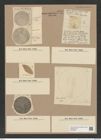 Diatomeae indet. Zeichnungen Sammlung Grunow Nr. 8931 (NHMW-BOT-W0378607)